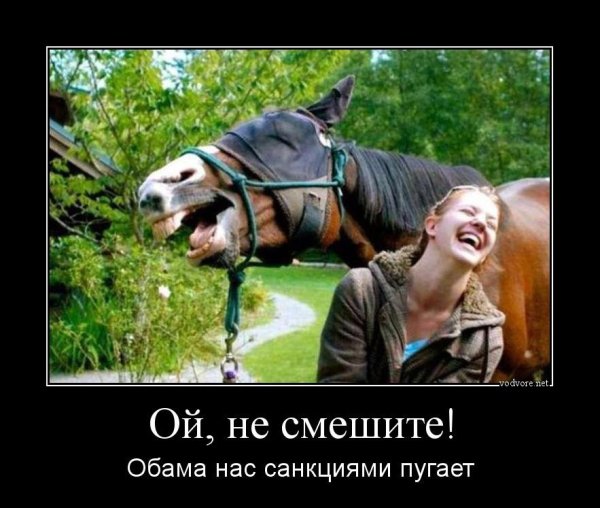 Приколы про шашлыки на природе