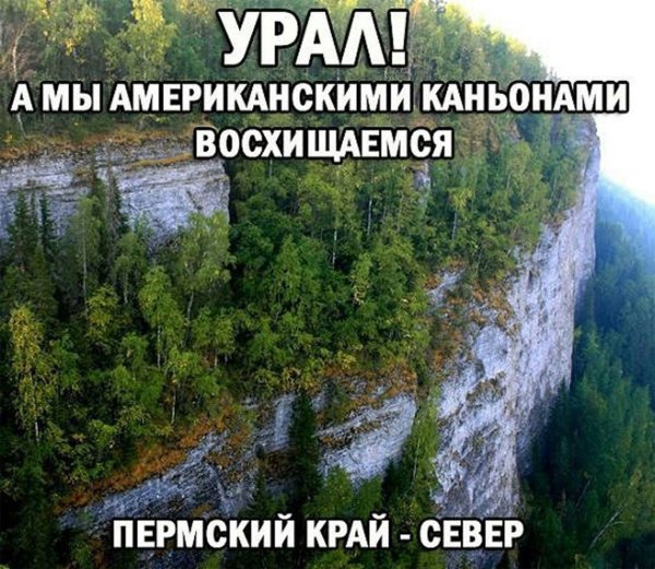 Смешной пейзаж