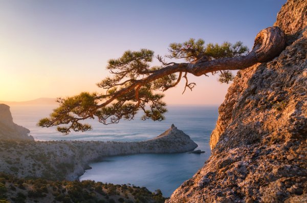 Природа Крыма