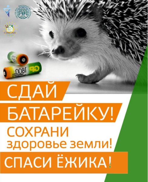 Листовка утилизация батареек