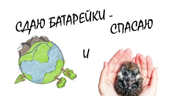 Сбор батареек в детском саду