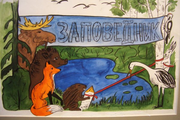 Рисунки заповедника детские