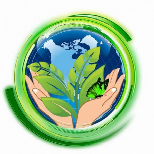 Пять самых известных международных экологических организаций