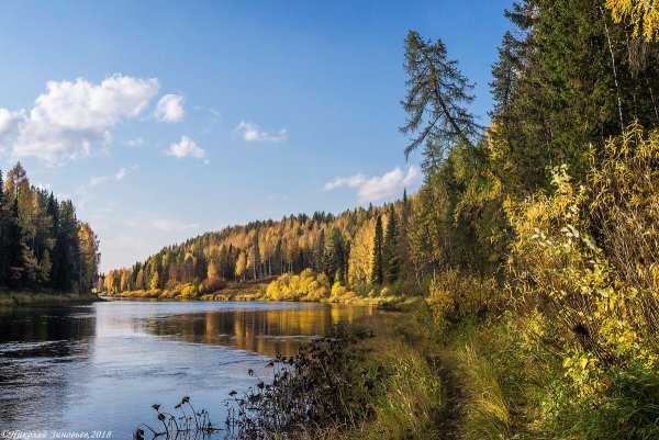 Природа Печора Коми осень