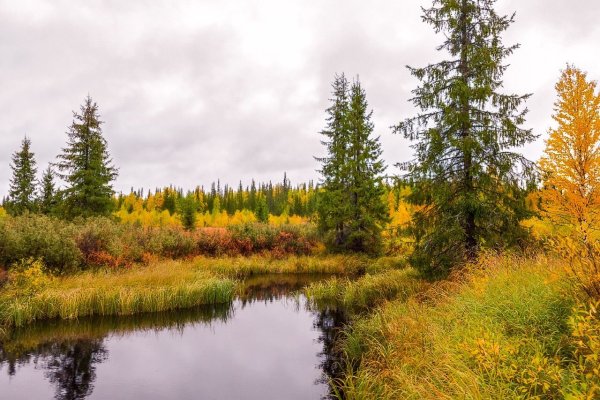 Северная природа Республики Коми