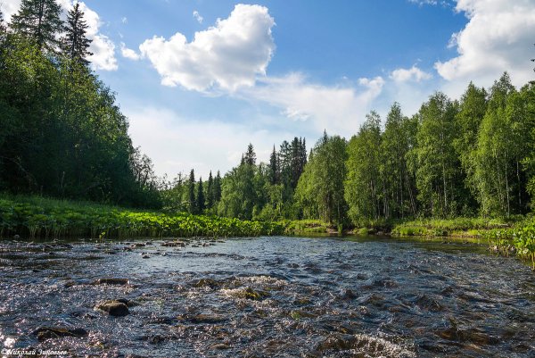 Река Уса в Республике Коми