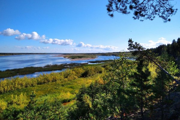 Леса Республики Коми
