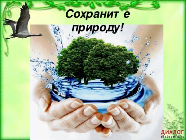 Сбережем природу
