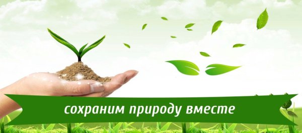 Сохраним природу вместе