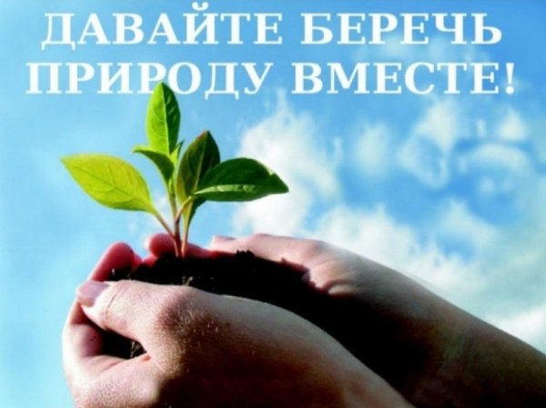 Экология на белом фоне