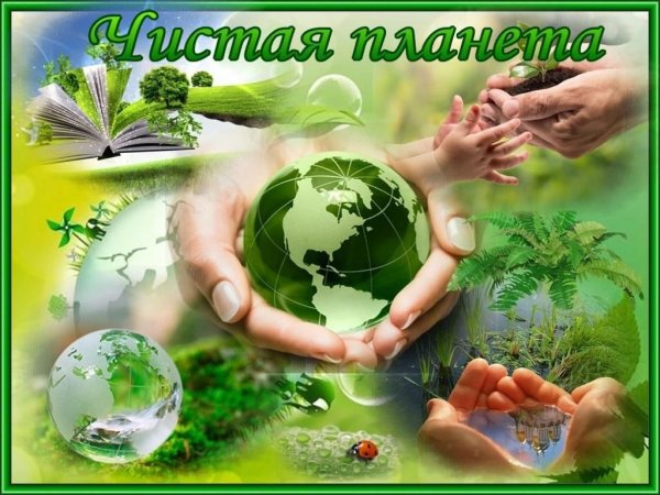 Спасем природу вместе