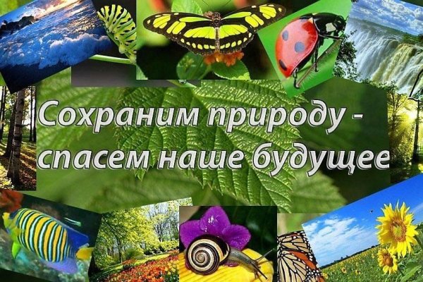 Сохраним планету вместе