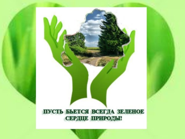 Экология берегите природу