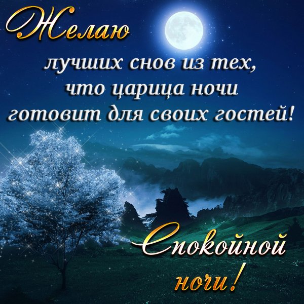 Спокойной ночи сладких снов