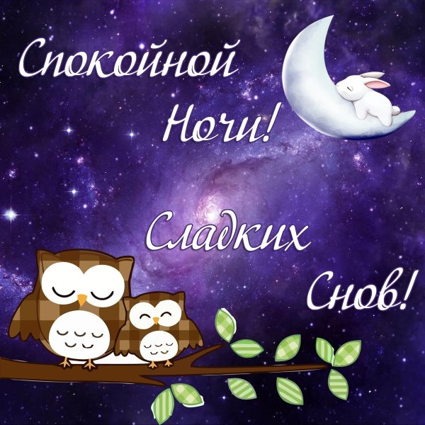 Сладких снов