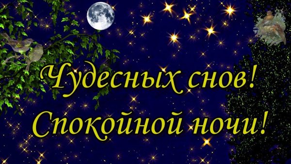 Доброй ночи спокойного сна