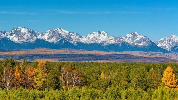 Тайга осенью Забайкалье