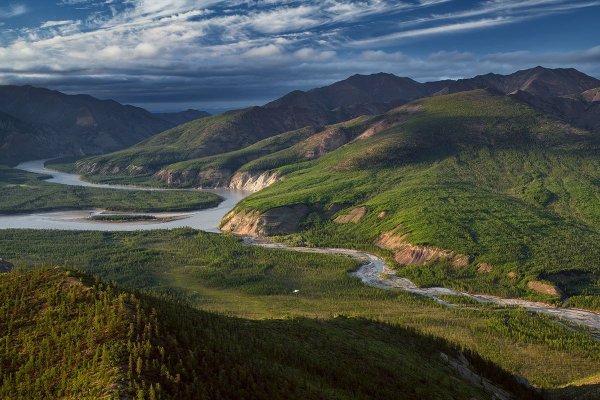 Тайга Красноярского края климат