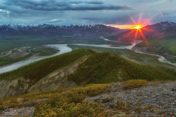 Восточно Сибирская Тайга