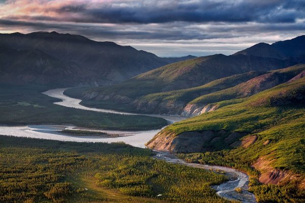 Жарки Тайга Саяны