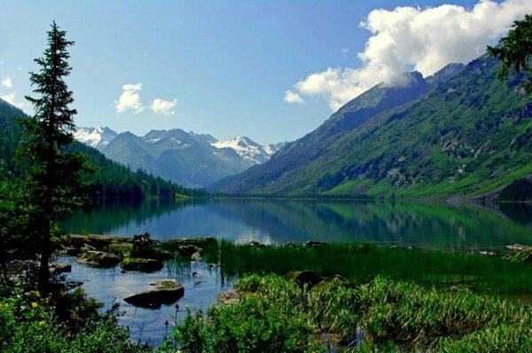 Восточно Сибирский район природа