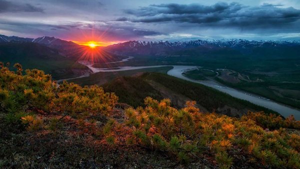 Черневая Тайга Кузбасса