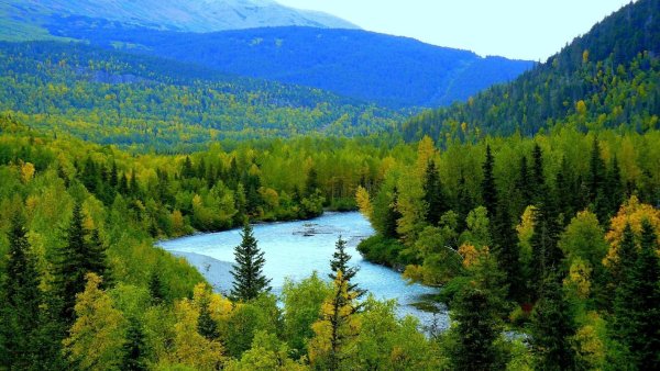 Тайга Ергаки