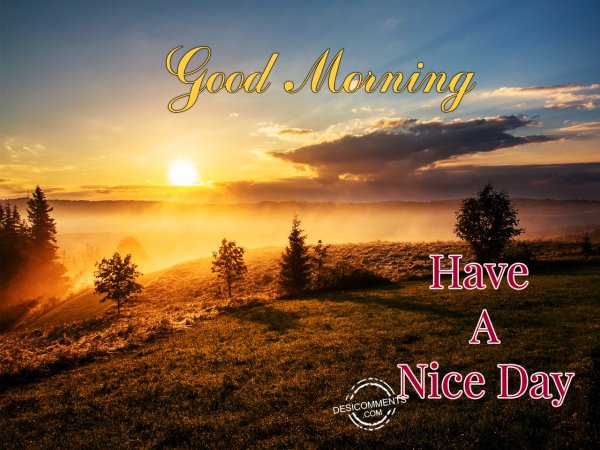 Good morning have a nice Day