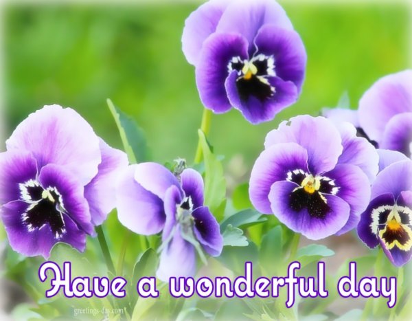 Открытки good Day