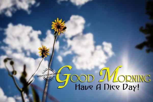 Good morning have a nice Day картинки