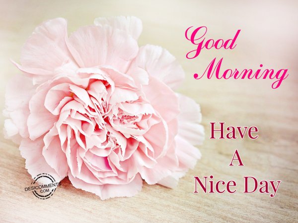 Открытка have a good Day