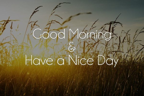 Открытка have a nice Day