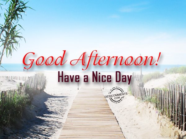 Good afternoon
