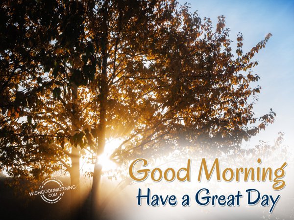 Good morning have a great Day