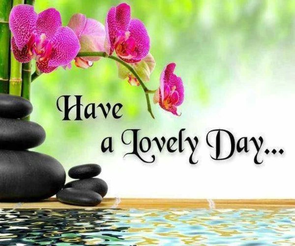 Good Day