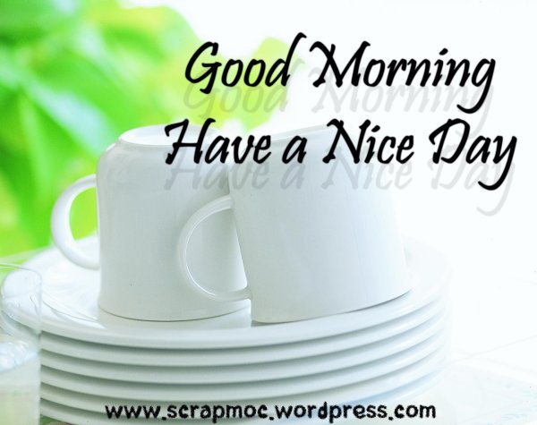 Good morning have a nice Day