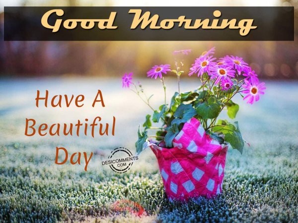 Good morning have a beautiful Day воскресенье