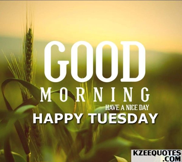 Have a nice Day картинки