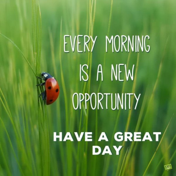 Have a good Day