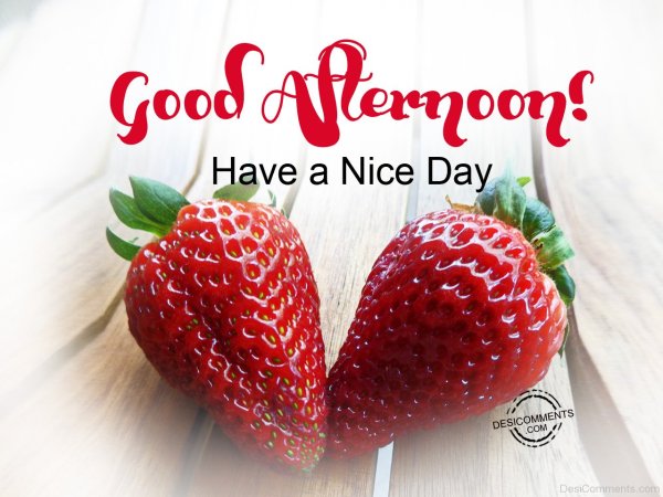 Good afternoon have a nice Day