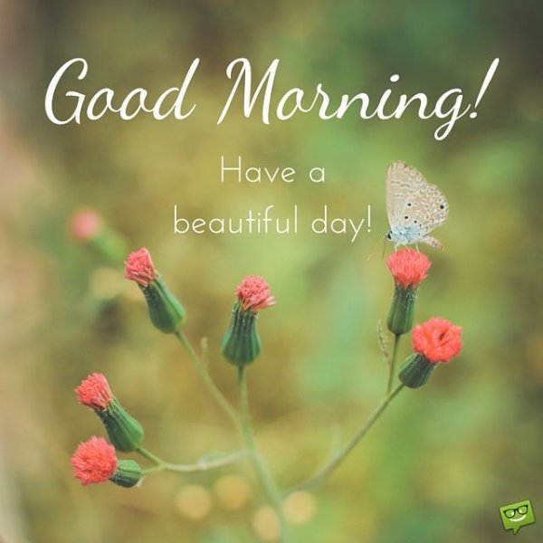 Good morning have a beautiful Day