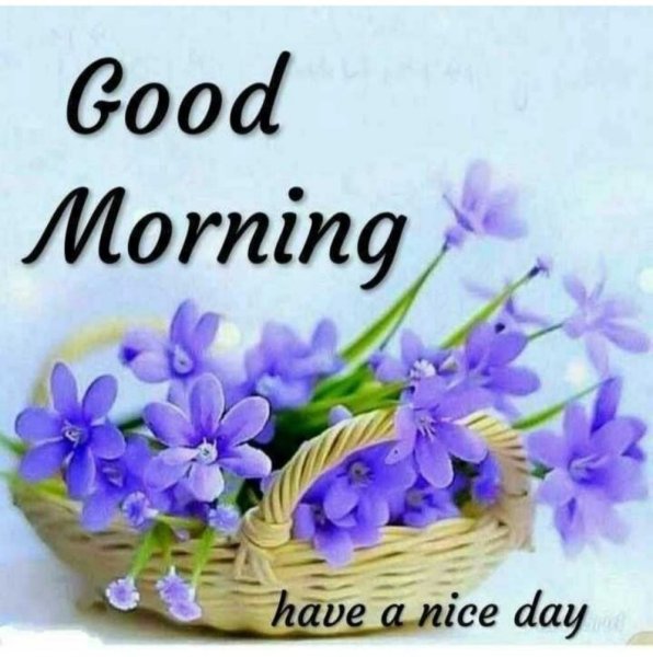 Открытка have a good Day