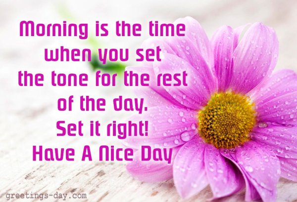 Nice Day quotes