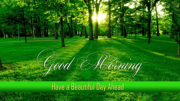 Good Day обои