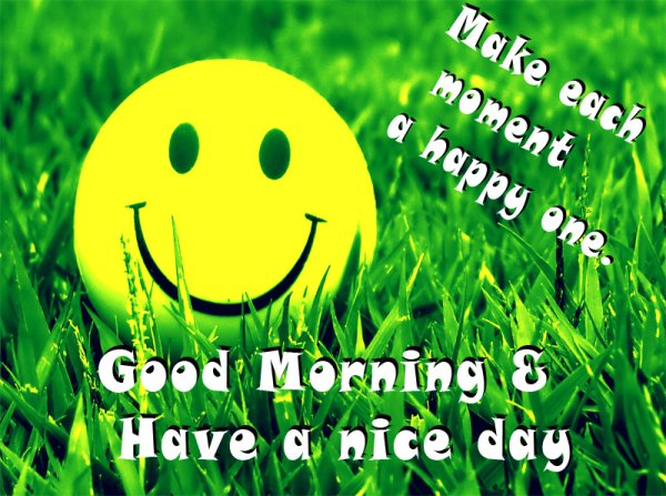 Good morning have a nice Day