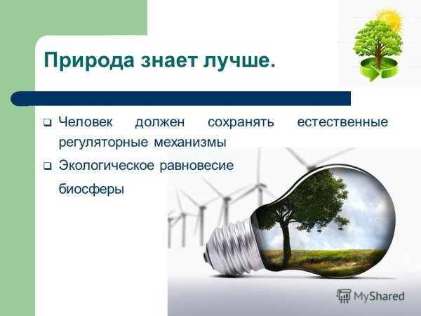 Природа знает лучше