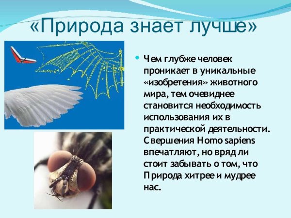 Природа знает лучше примеры к закону