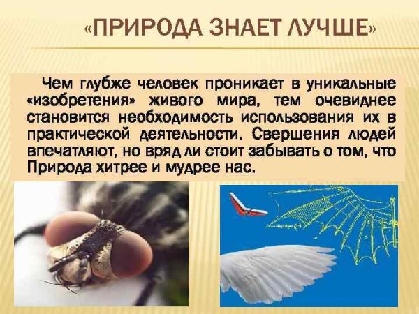 Природа знает лучше