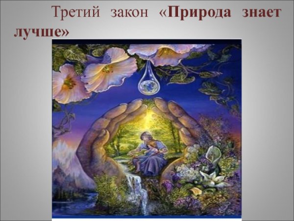 Природа знает лучше закон
