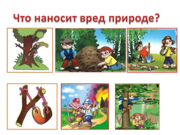 Что наносит вред природе
